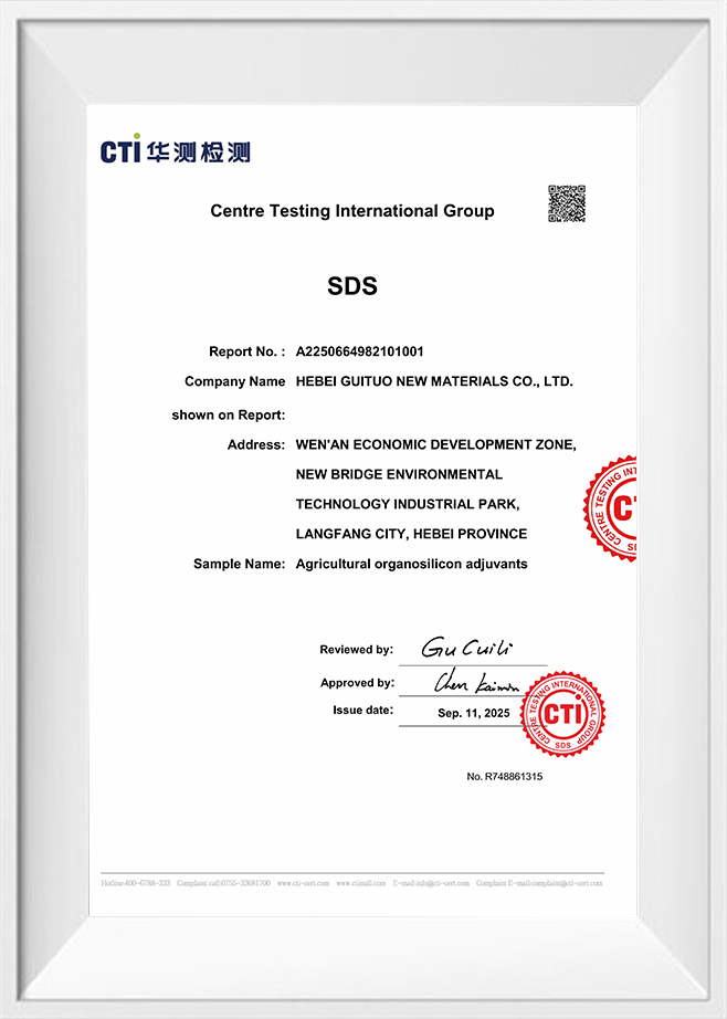 Grupul Internațional de Testare Centru